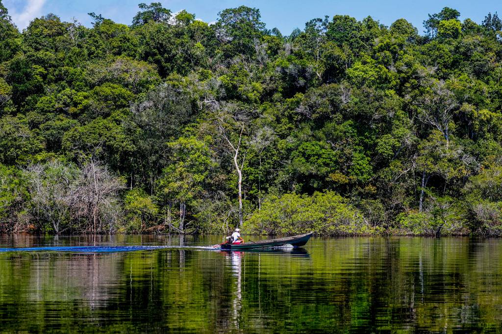 10 vezes que a Amazônia apareceu no Enem