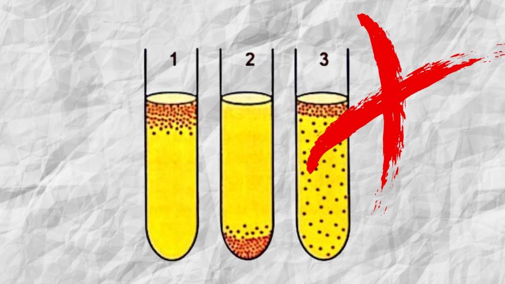 Questão de biologia do Enem 2024 já caiu em outro vestibular; veja qual