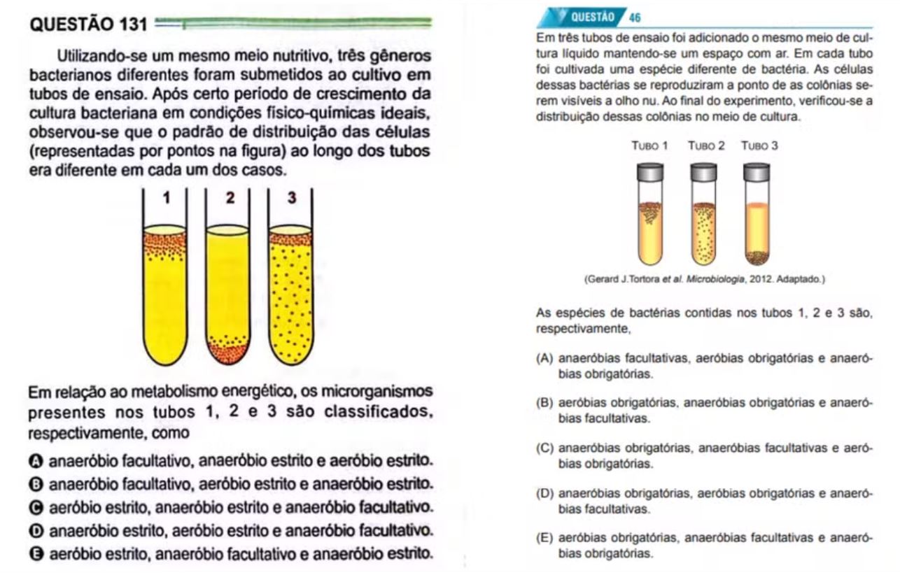 questão biologia enem e vestibular universidade feira de santana