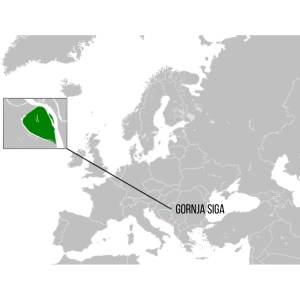Gornja Siga Localização de Gornja Siga no mapa.