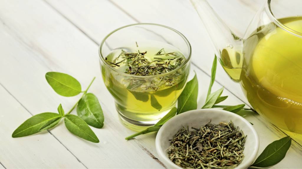 benefícios do chá para os estudos – chá verde benefícios do chá para os estudos - chá verde