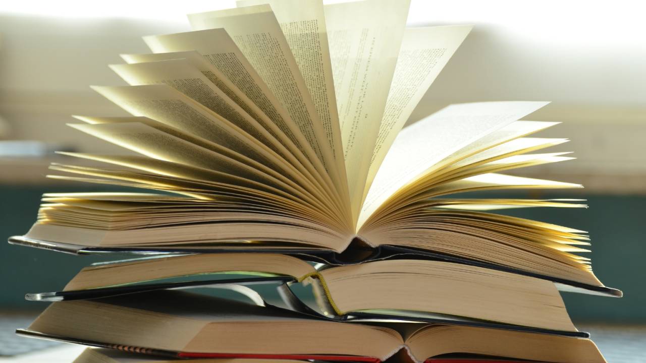 livros para entender a politica brasileira