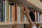 livros biblioteca harvard