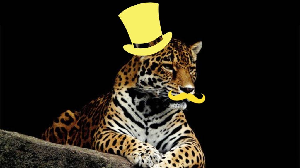 Qual o masculino de onça?