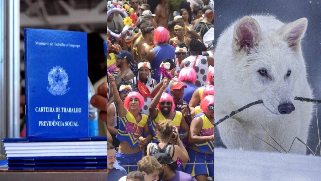 Primeira fase da Fuvest 2026 aborda ‘demonização’ da CLT, lobos-terríveis e carnaval politizado