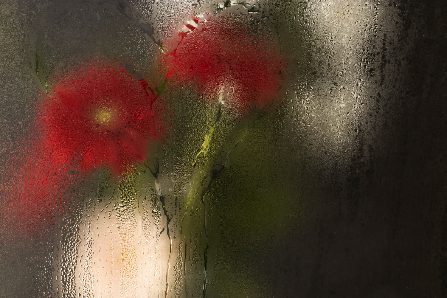 Flores vermelhas desfocadas atrás de uma janela encharcada pela chuva criam um efeito abstrato e onírico, com gotas de água adicionando textura e profundidade.
