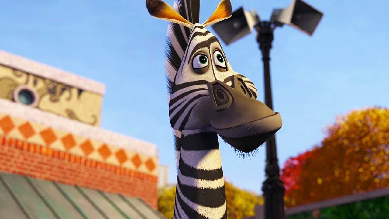 Marty, a zebra de Madagascar, com listras pretas e brancas, olhando para cima com expressão curiosa. Ao fundo, um poste de luz e folhagens coloridas de outono, sob céu azul